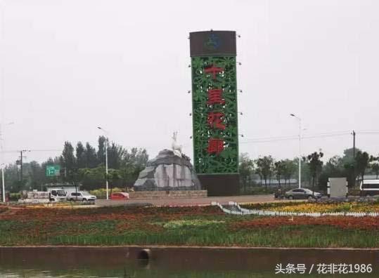 石家庄十里洋房最新房价,石家庄十里洋房租房