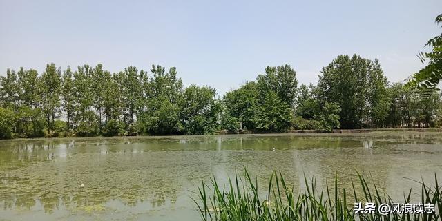 峄城福兴桥最新消息,枣庄市峄城区福兴集团