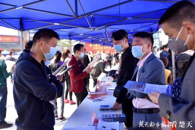 麻城市最新招聘信息网,职场人的新导航标