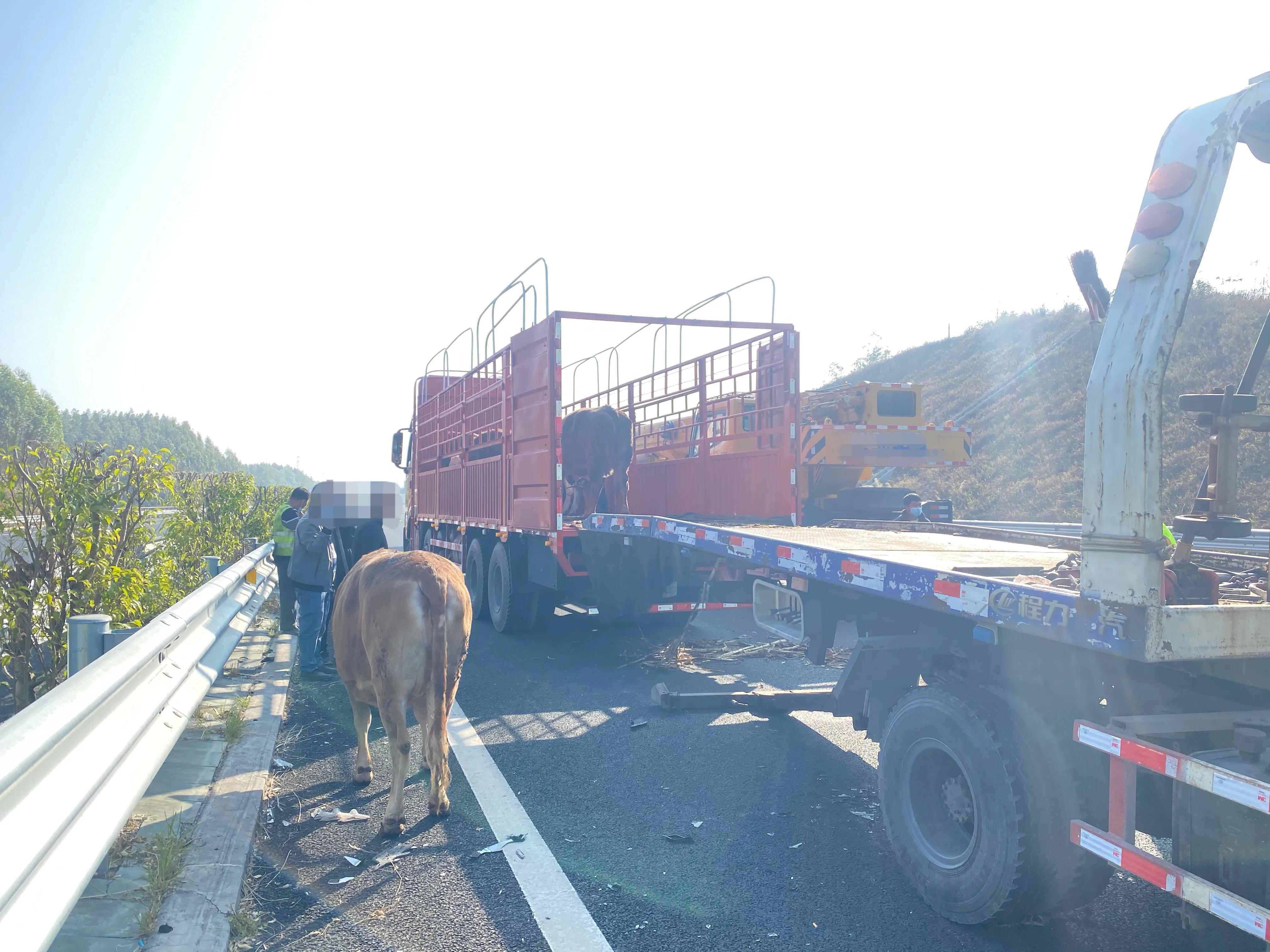 运三高速最新消息封锁,原因详解与应对措施指南