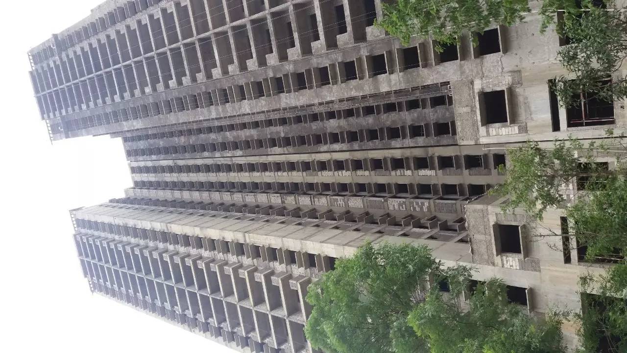 泰平盛世荷苑繁荣景象揭秘,最新消息与发展动态