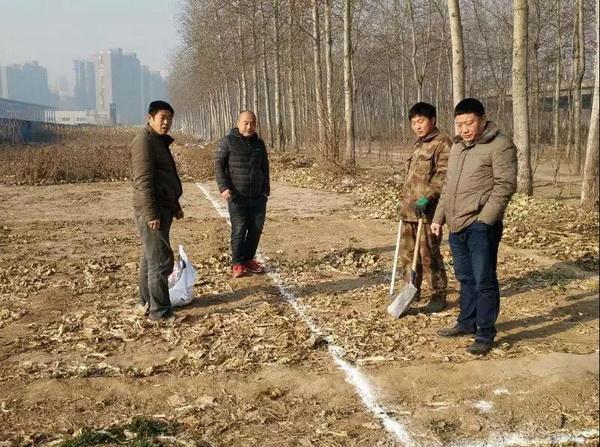 石家庄宋村拆迁最新动态,城市变迁与居民生活的交织影响