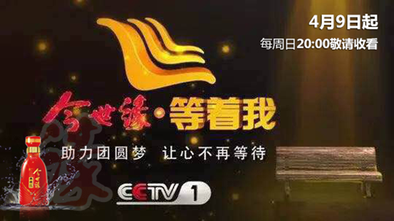 今世缘等你,最新一期精彩呈现