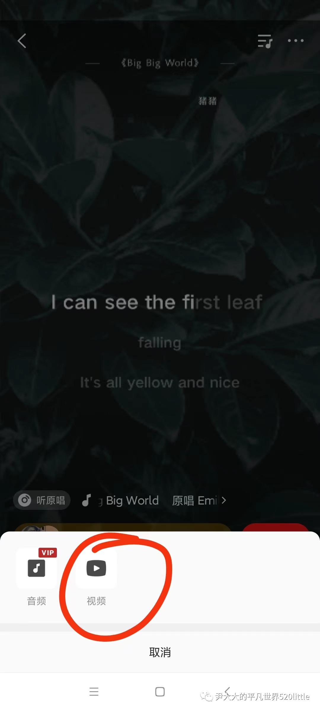 全民K歌最新版本下载,音乐爱好者的首选应用