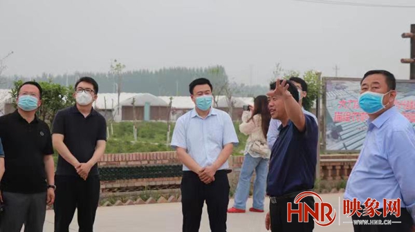 清丰县马庄桥最新新闻报道概览