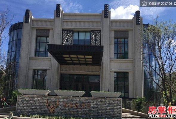 桐楠格领誉最新消息全面解读与分析