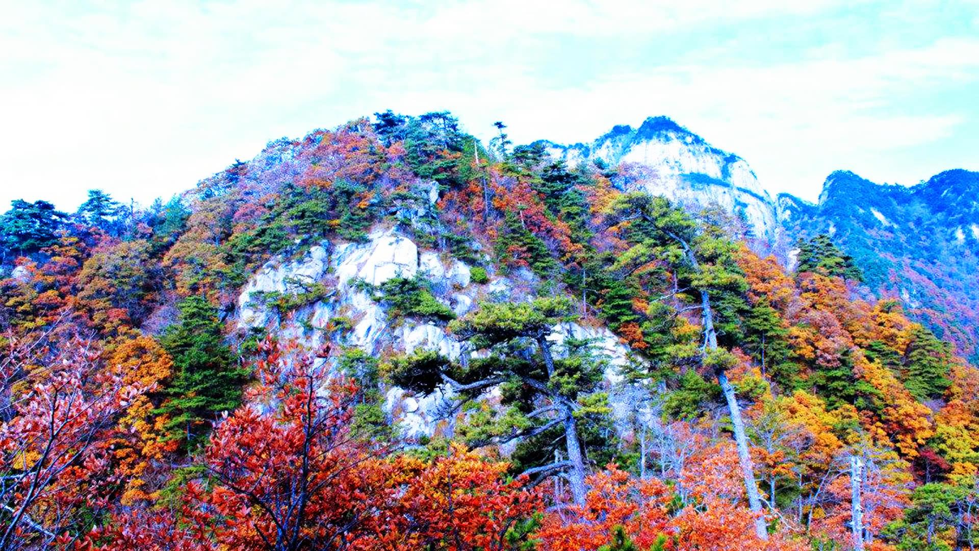 霍山县改市最新动态,进展、影响与展望