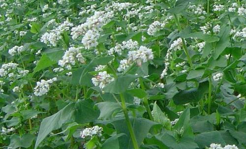 黔常张高铁进展顺利,最新消息带来通车新期待