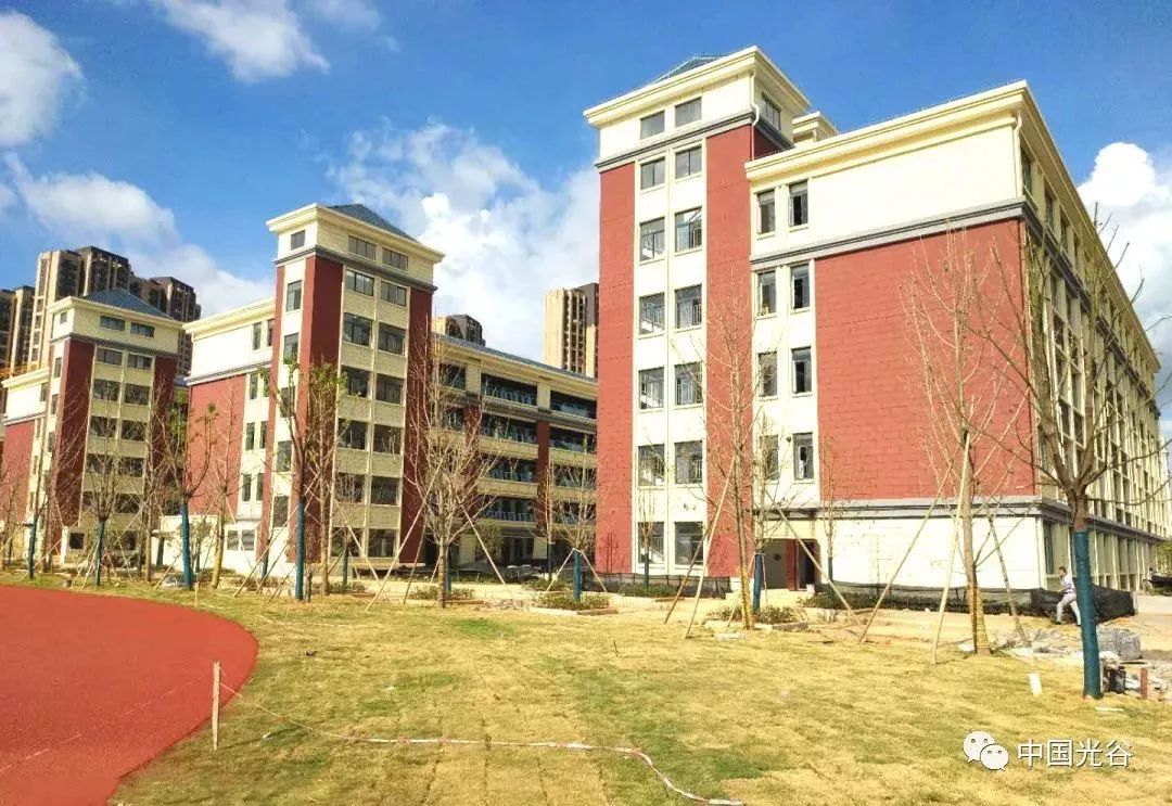 汤逊湖小学最新进展,迈向未来的教育新篇章启幕