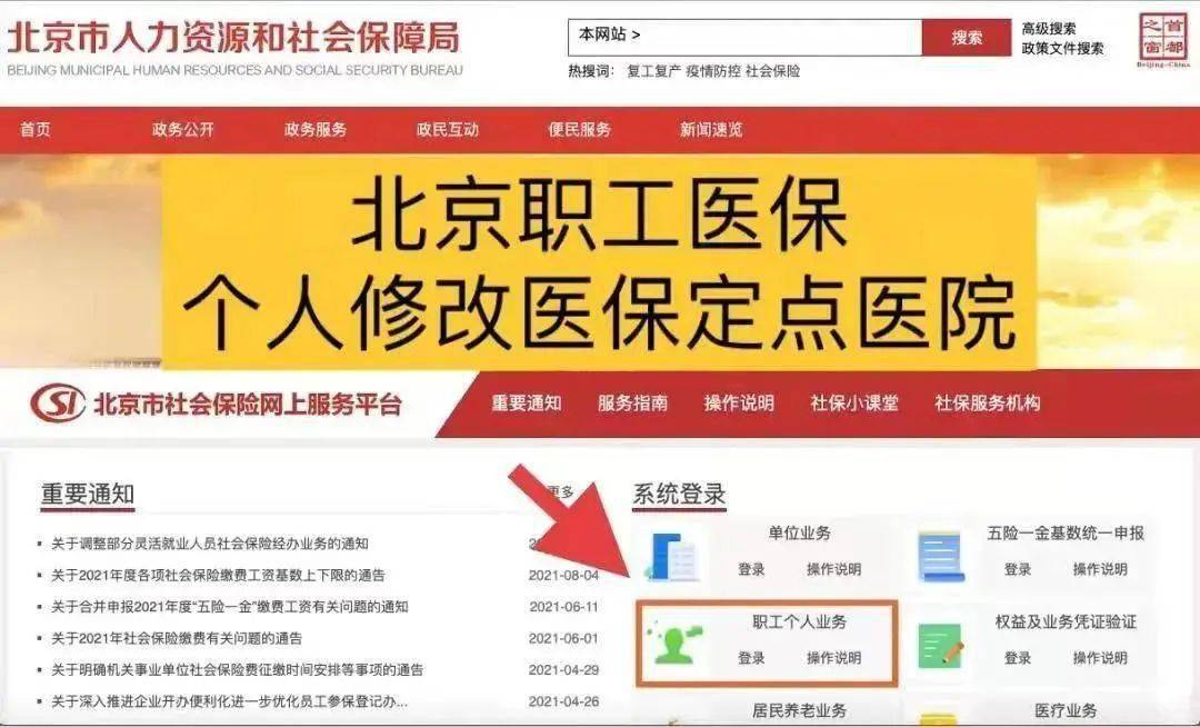 苍山县最新招聘信息网,求职招聘的新平台