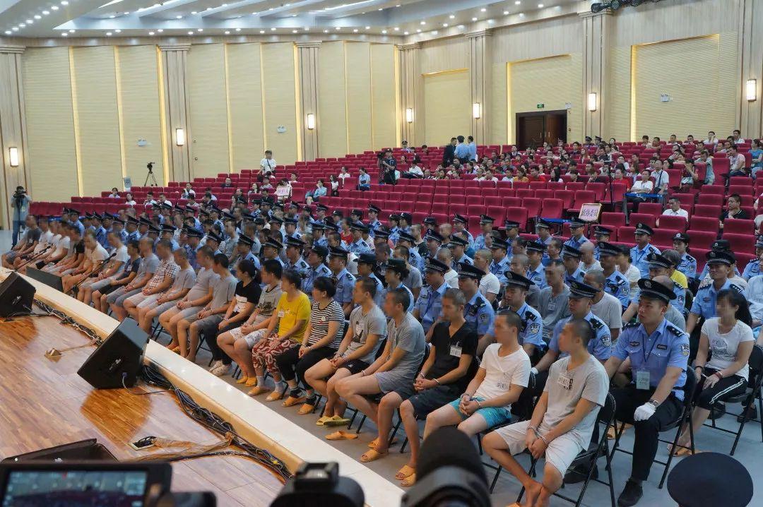 陆川最新出租房信息总览