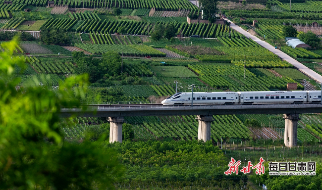 秦安县高铁最新进展、影响及未来展望