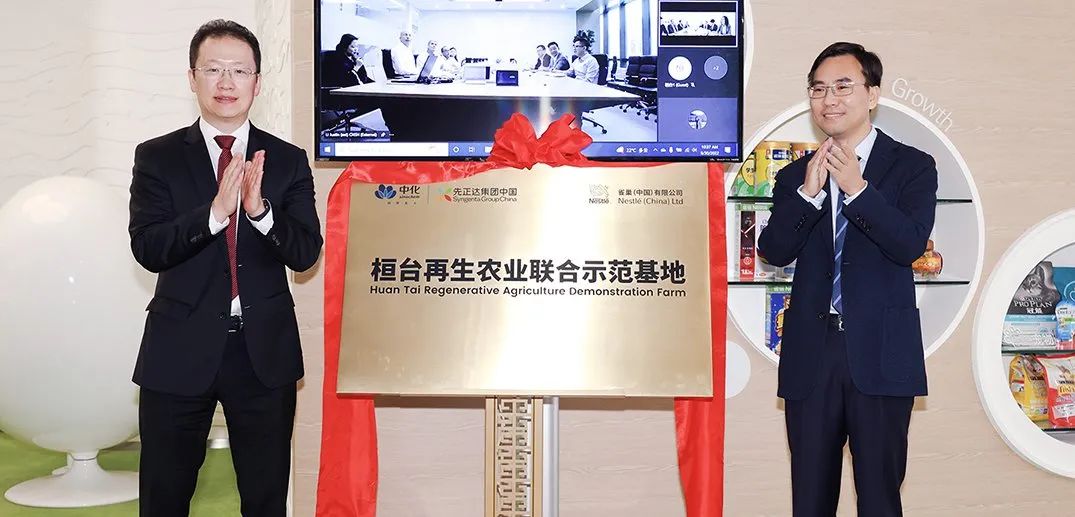 合恒合作社最新动态,迈向未来的坚实步伐