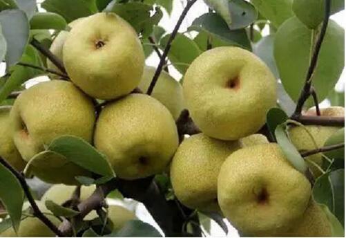 钱宝网最新动态,行业变革与未来展望 2018年展望报告