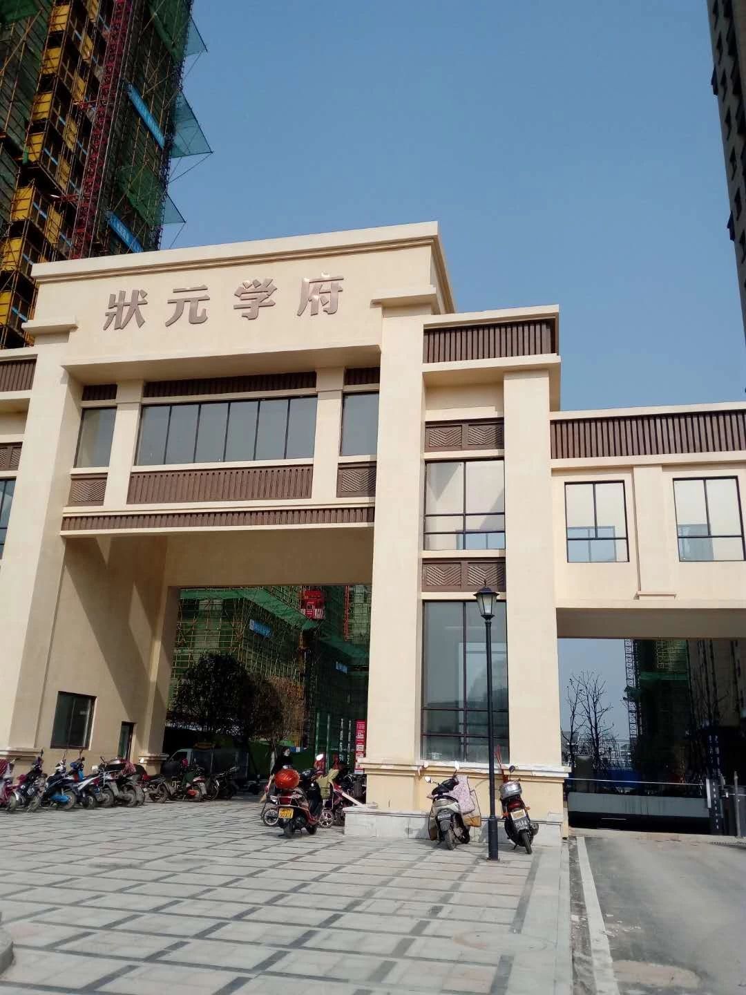 寿县状元一号最新消息全面解读与分析