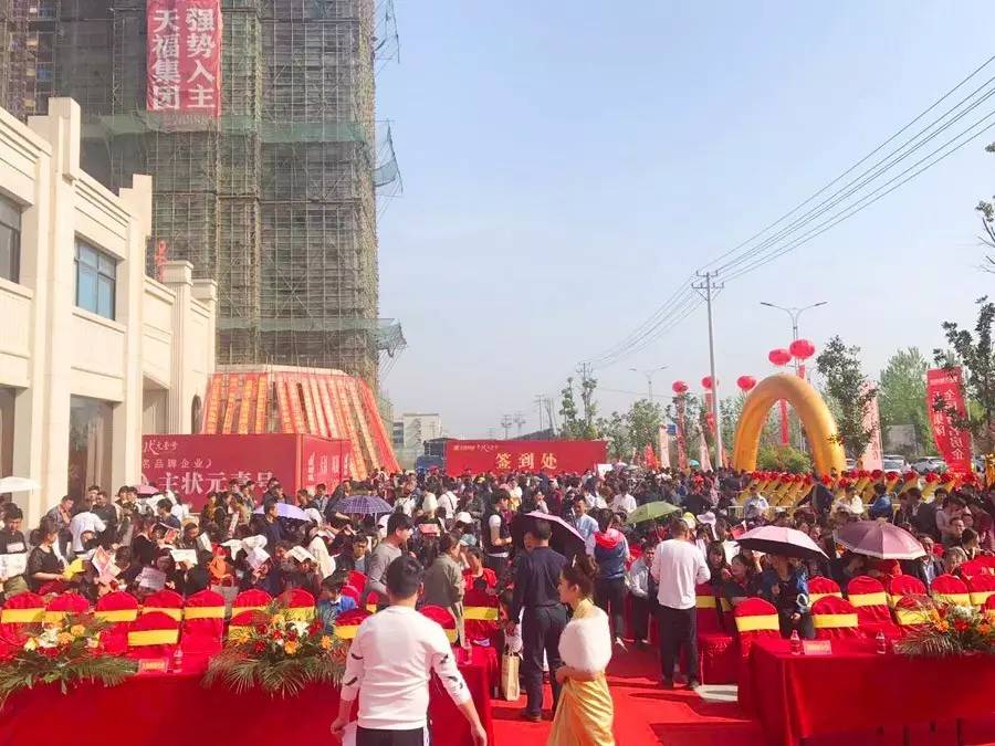 寿县状元一号最新消息全面解读与分析