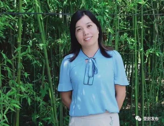 登封卢店最新二手房市场解析及房源概览