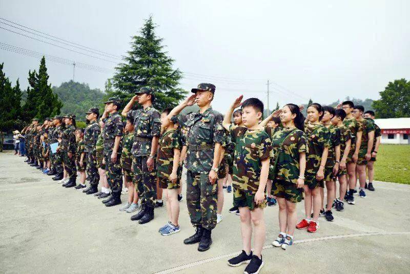 军魂网志愿兵最新消息全面解析与动态更新