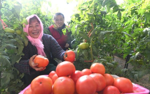 深度解读与前景展望,最新济南地铁订单班消息(XXXX年深度报道)