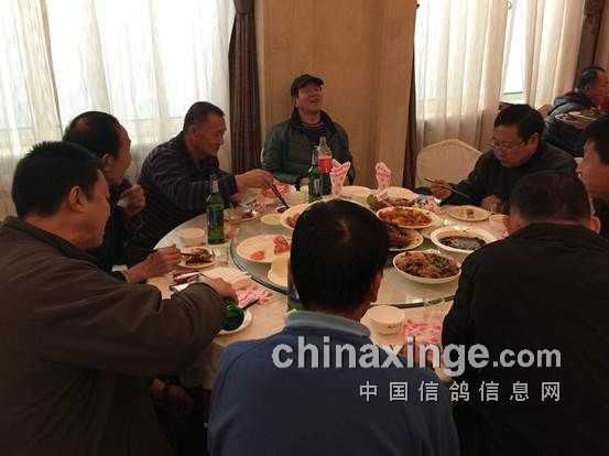 沈阳中天赛鸽俱乐部最新动态报道