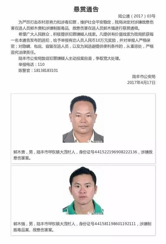 广东陆丰最新新闻热线,聚焦地方动态,传递时代声音速递