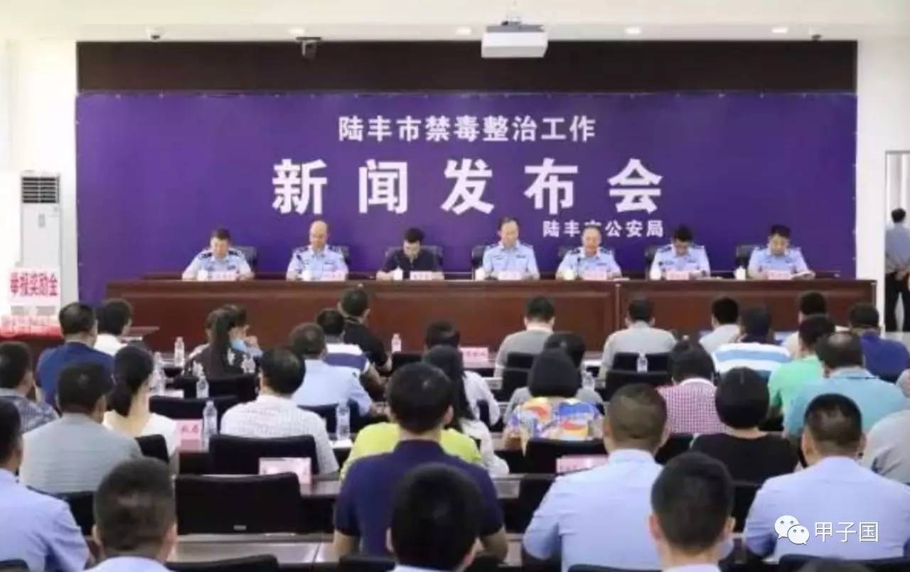 广东陆丰最新新闻热线,聚焦地方动态,传递时代声音速递