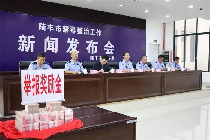 广东陆丰最新新闻热线,聚焦地方动态,传递时代声音速递