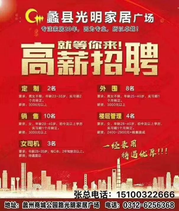 磁县第一网最新招聘动态及其影响概览