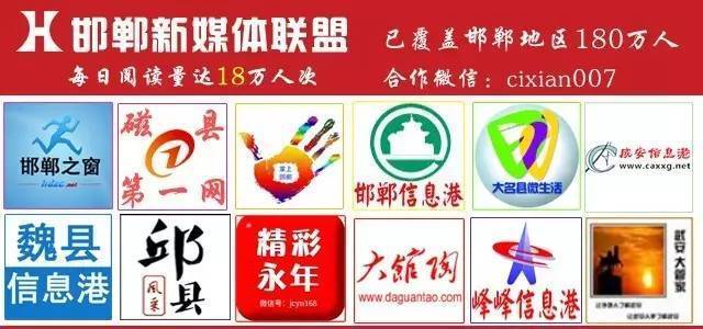 磁县第一网最新招聘动态及其影响概览