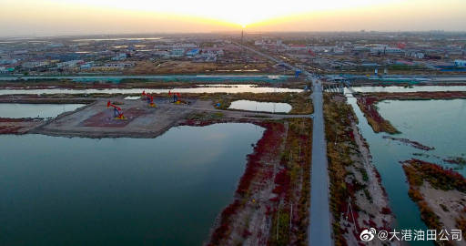 大港油田七期最新消息深度解析,最新动态与进展报告