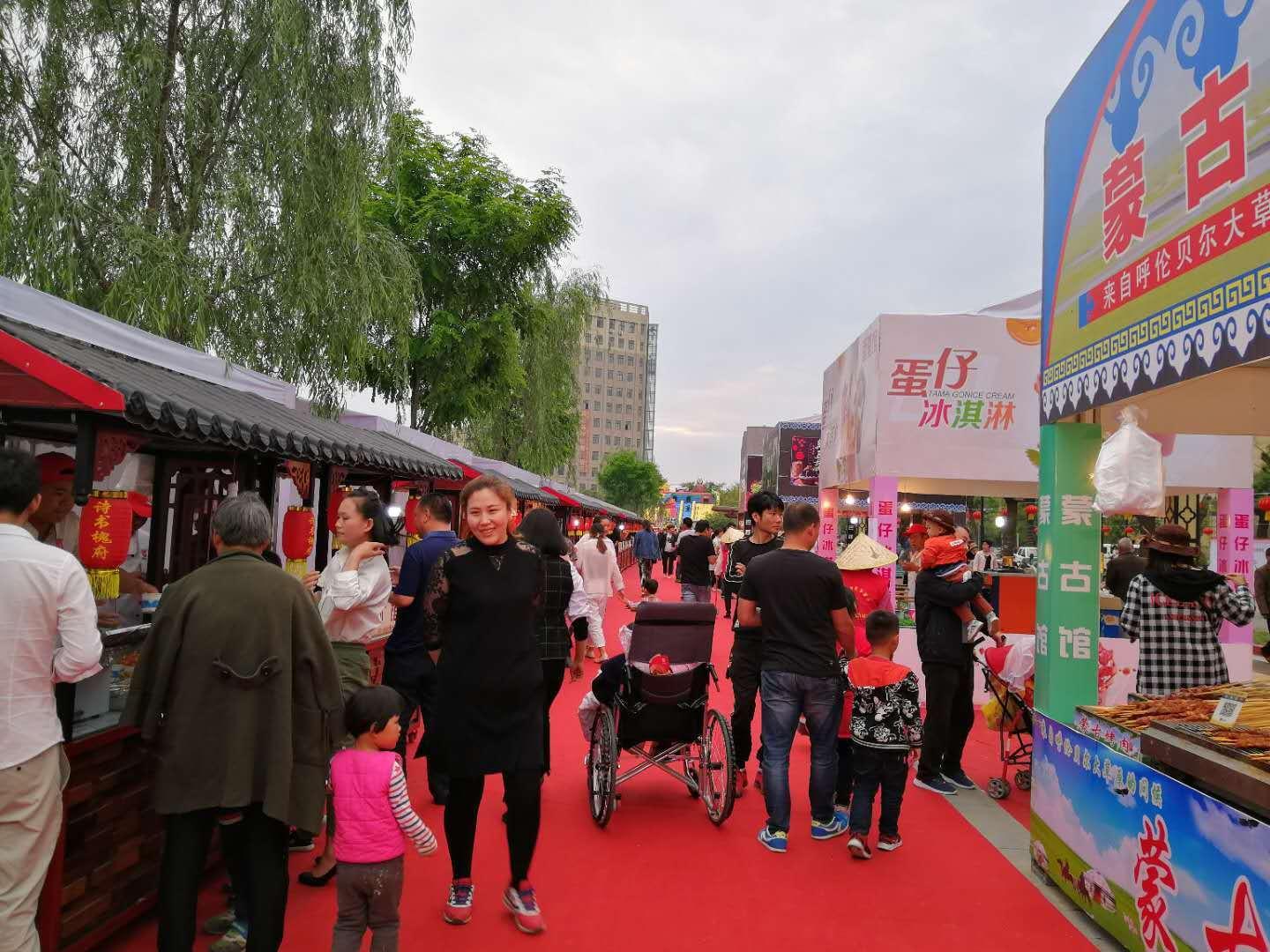 沈丘新东环路最新进展报告更新,进展与细节揭秘