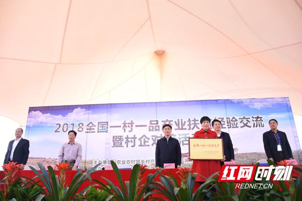 常宁清华一品最新消息全面解读与分析