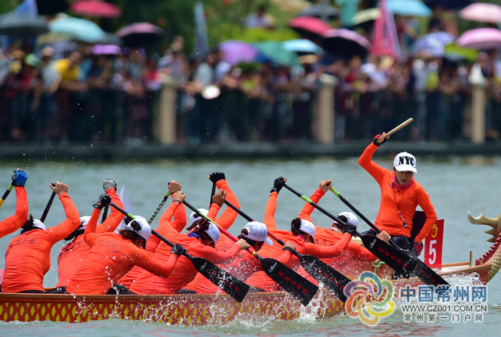 2017年龙舟赛最新动态,赛事亮点、期待与实时更新