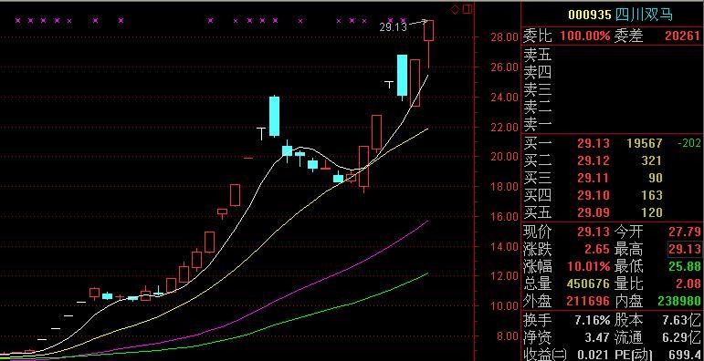 四川双马最新消息解禁,深度解读与未来展望