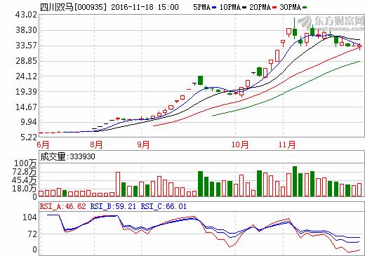 四川双马最新消息解禁,深度解读与未来展望