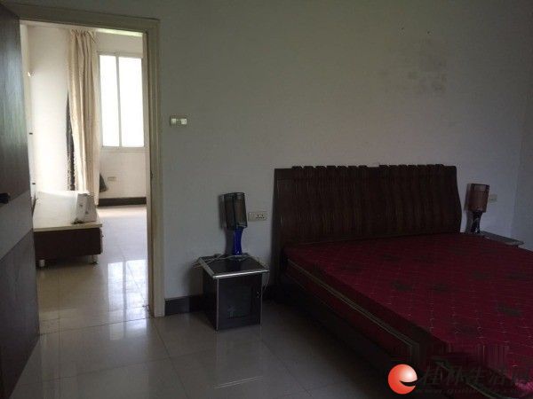 安新房屋出租最新消息全面解析与解读