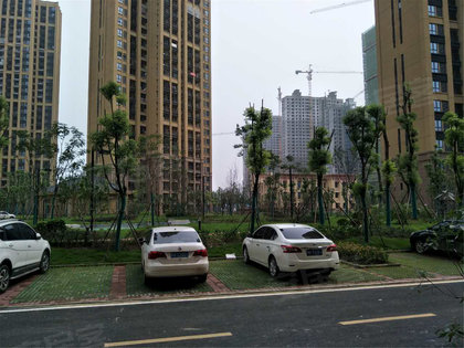 四新太子尚品最新消息揭秘,最新动态一网打尽!