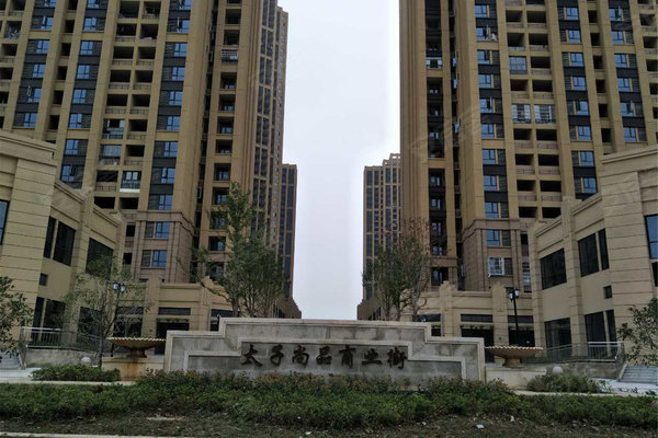 四新太子尚品最新消息揭秘,最新动态一网打尽!