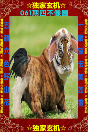 四不像图片与今晚必中生肖,警惕非法赌博陷阱的警示标题