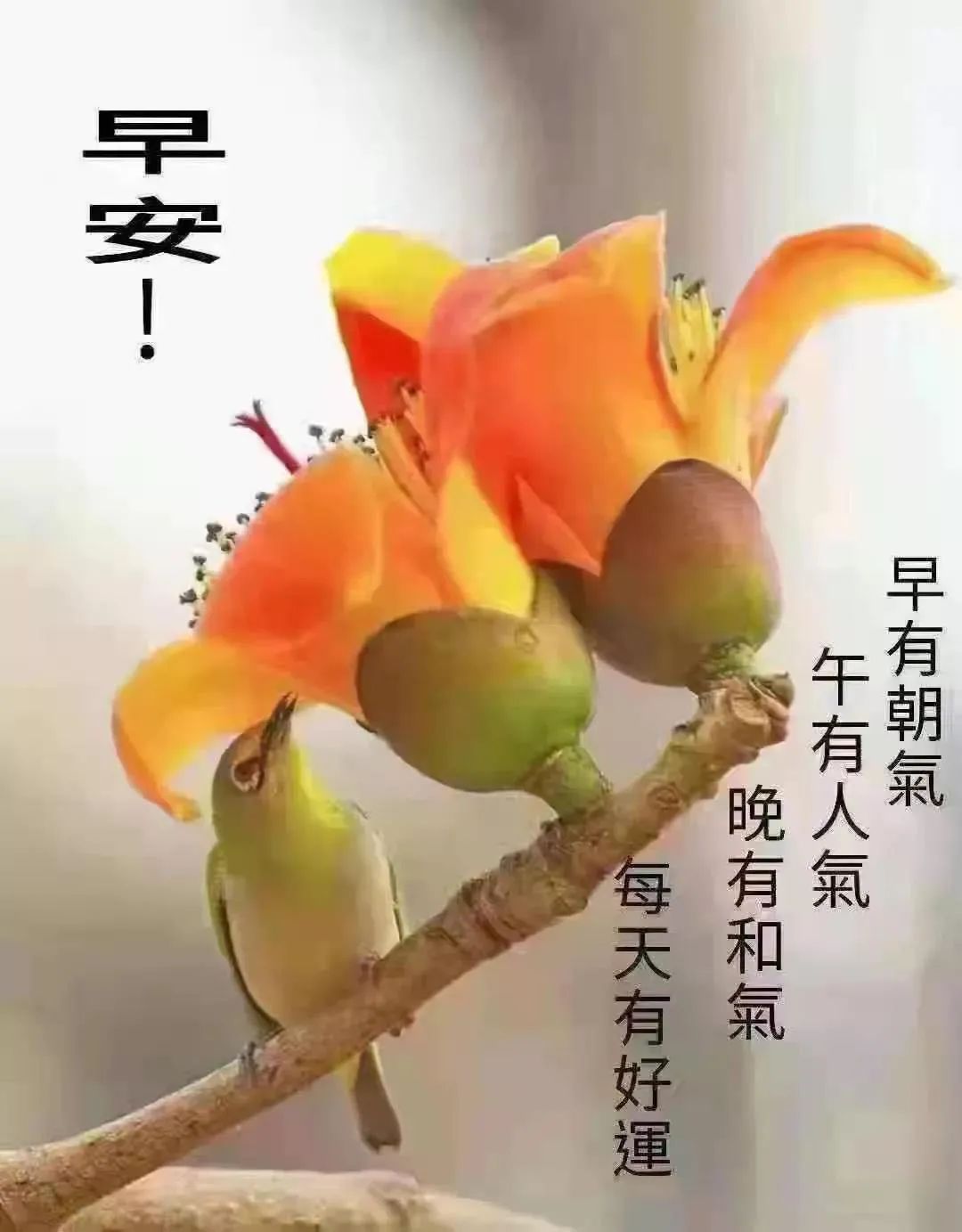 刘伯温精选资料大全930期,绝对经典解释落实_WP69.70.7