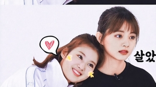 官夫人甜宠记最新章节免费阅读,甜蜜爱情持续更新!