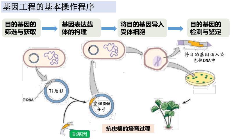 基因工程最新进展揭秘,2013年重要突破与进展报告