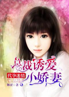 焦娅晴盛智宇系列小说,最新章节全文免费阅读