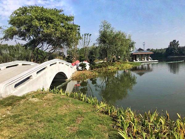 成都北湖公园最新进展报告,最新动态与更新情况揭秘