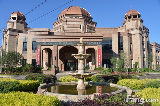 包头松石国际最新动态更新,今日消息一览