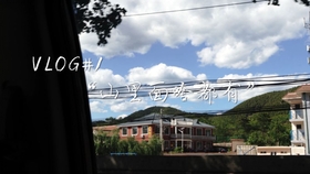 大港福居园最新消息揭秘,最新动态与新闻更新