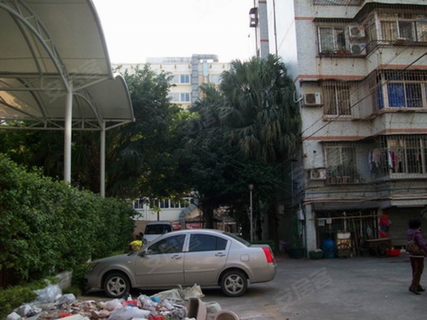 大港福居园最新消息揭秘,最新动态与新闻更新