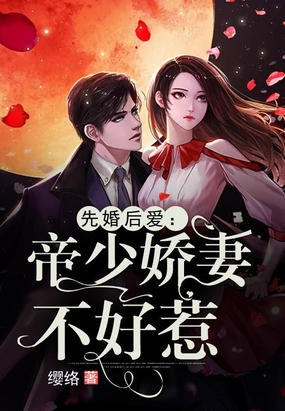 帝少宠妻汹汹,最新章节免费阅读