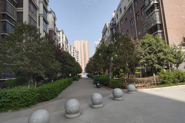 陈仓区虢镇最新楼盘概览,最新楼盘信息一览无余