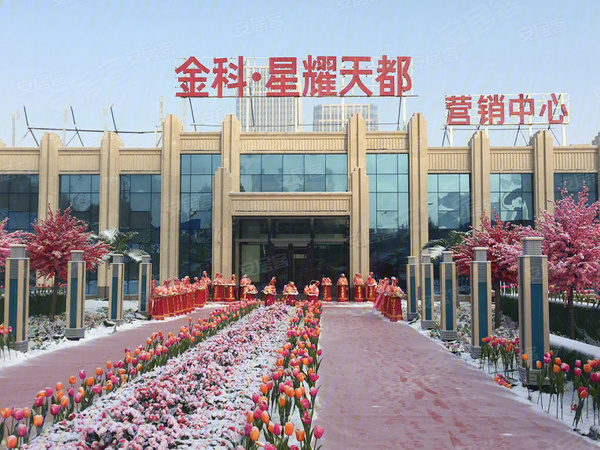 金科星耀天都最新动态及楼盘信息概览